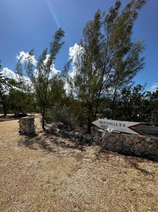 Treehouse Private Village Barnacle Bed And Breakfast Deers Big Pine Key Εξωτερικό φωτογραφία