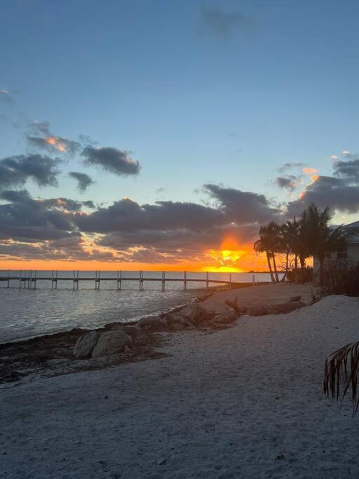 Treehouse Private Village Barnacle Bed And Breakfast Deers Big Pine Key Εξωτερικό φωτογραφία