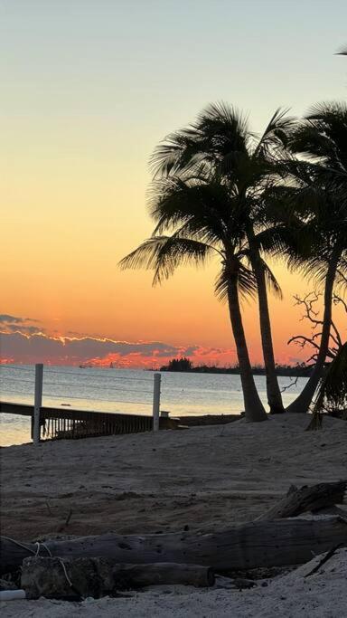 Treehouse Private Village Barnacle Bed And Breakfast Deers Big Pine Key Εξωτερικό φωτογραφία