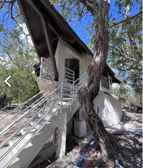 Treehouse Private Village Barnacle Bed And Breakfast Deers Big Pine Key Εξωτερικό φωτογραφία